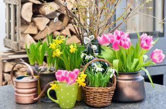 Die 11 schönsten Frühlingsblumen für den Garten