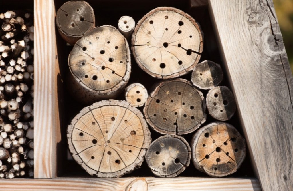 Baumscheiben zum Insektenhotel bauen