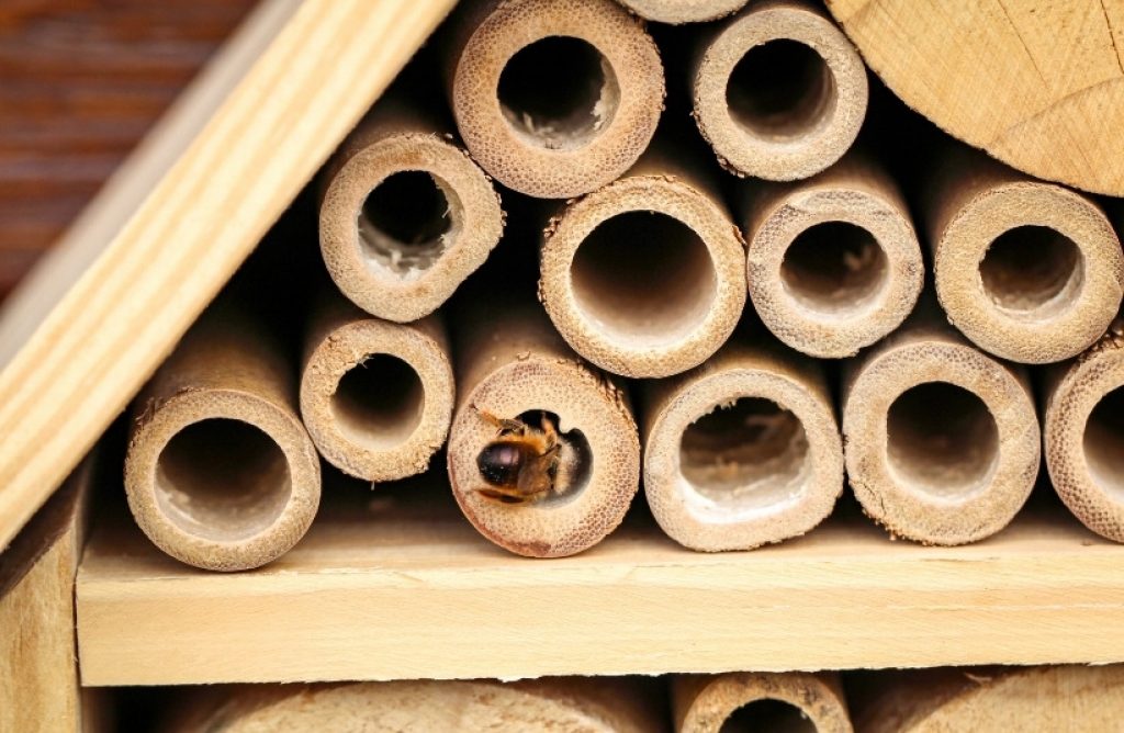 Insektenhotel aus Bambus