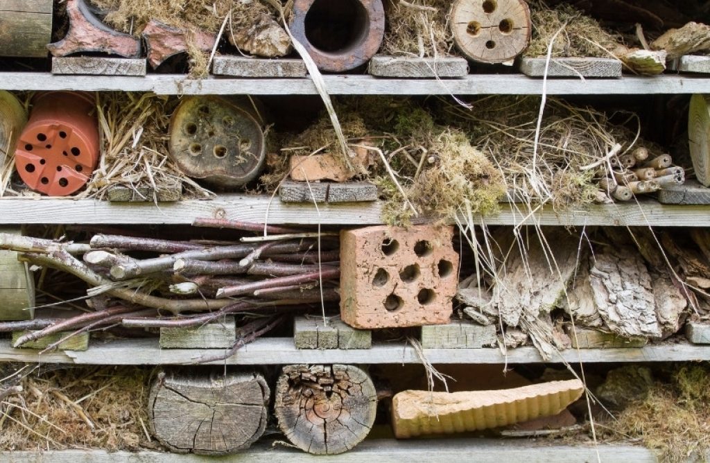 Insektenhotel aus Paletten gebaut