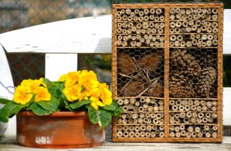 Insektenhotel selber bauen