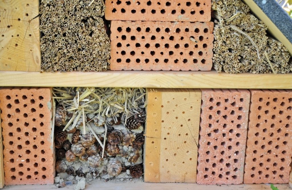 Steine im selbst gebauten Insektenhotel