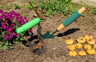 Blumenzwiebelpflanzer