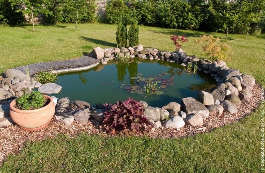 Gartenteich mit Pflanzen