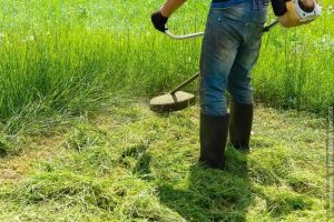 Mann mit Freischneider im hohen Gras