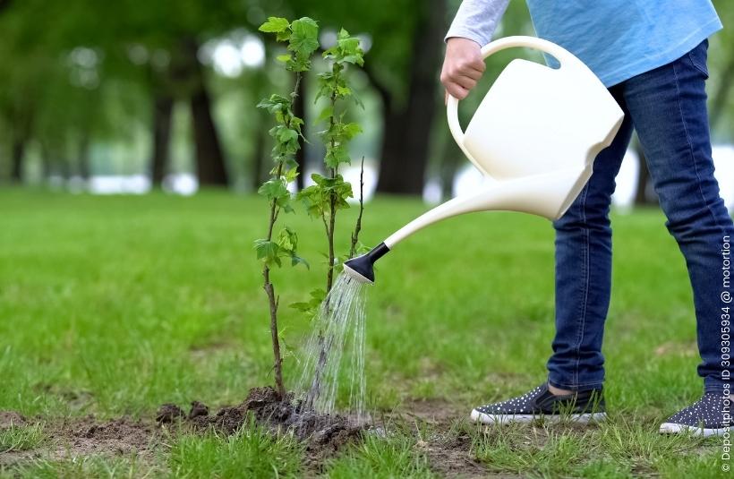 Mann gießt Jungpflanzen im Garten