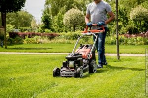 Rasenmäher Ratgeber