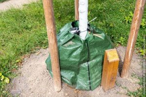 Baumbewässerung Sack