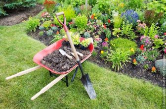 Gartenarbeit im Juli