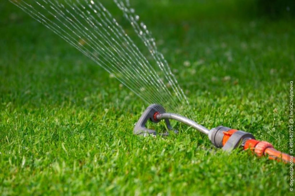 Rasen sprengen im Sommer