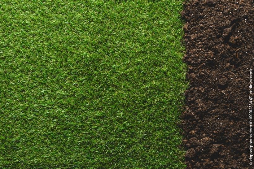 Rasen sanden: Mit Rasensand zum satten Grün