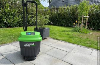 Unkrautfuchs auf Terrasse