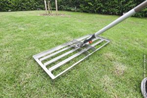 Risisani Rasenrakel im Test