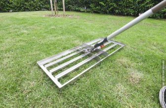 Risisani Rasenrakel im Test