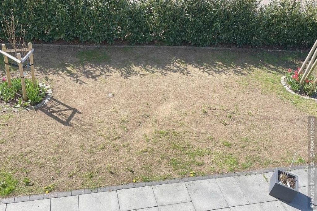 Vertrockneter Rasen