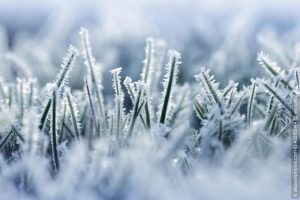 Gartenarbeit Dezember