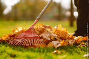 Gartenarbeit Oktober