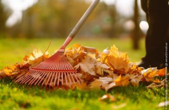 Gartenarbeit Oktober