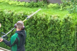 Langstiel-Heckenschere