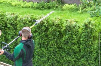 Langstiel-Heckenschere