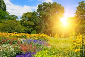 So bereitest du deinen Garten optimal auf heiße Tage vor
